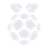 Raspberry Pi icon